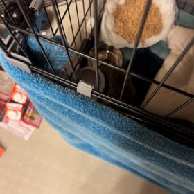 良かったああああ 食べてくれた。の画像