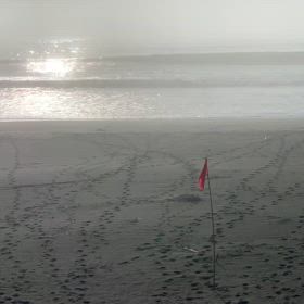 7月10日千葉北、東浪見の朝の波の画像