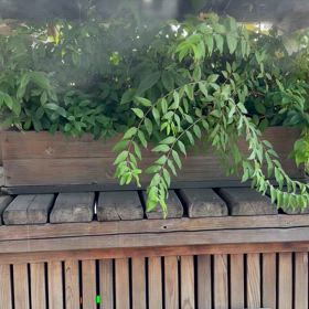 都会のミストの画像