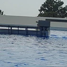 雰囲気だけねの画像