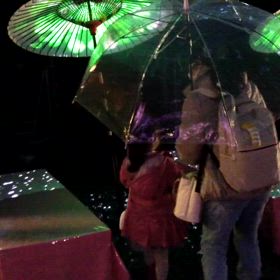 二条城プロジェクションマッピングの思い出(3/15)の画像