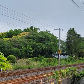 今日の657の画像