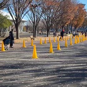 県駅伝　第４区③の画像