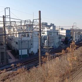 2024/01/31の画像