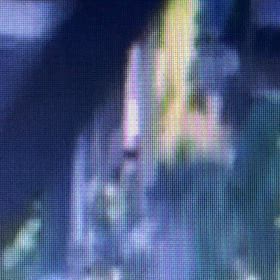 監視しながら音が出ない様に2人でゆっくり開けてる！の画像