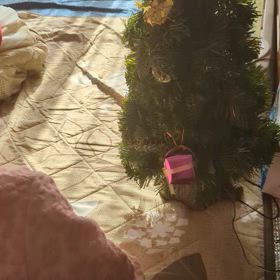 去年のクリスマスの画像