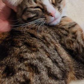 １月１６日（金）の画像