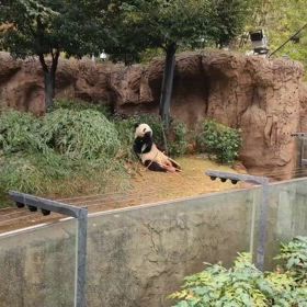 2024/11/21の画像