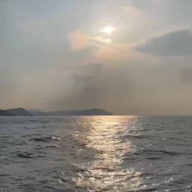 会いたかったな。の画像