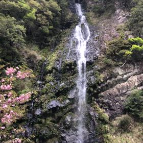 ☆正直…☆の画像