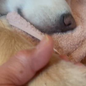 メグとの別れ(8)の画像