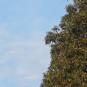 油断大敵の画像