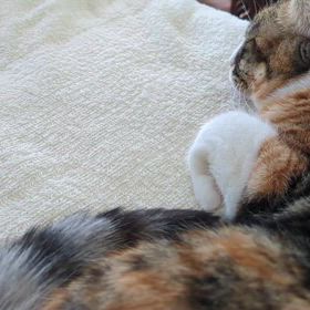 １月３１日（土）の画像