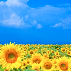 たまにはアレンジしてみよう！の画像