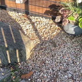 RBガーデン、日陰コーナーの画像