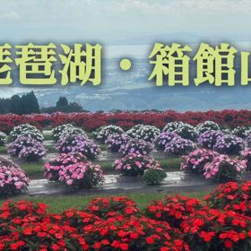 琵琶湖・箱館山の画像