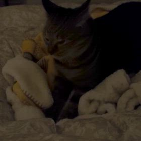 安心安全にの画像