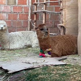 番外編：もぐもぐタイム。かなり癒してくれるので、皆さんにも共有。の画像