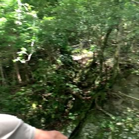 KIN99   青い嵐　黄色い人　音8の画像