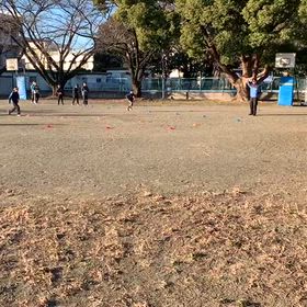 基本動作(ボール投げの場)➅の画像