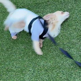 秋到来＆備忘録（お彼岸・家族の誕生日）の画像