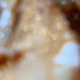 久しぶりにの画像