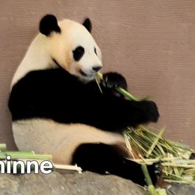 Happy Birthday 楓浜の画像