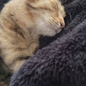 上がったり下がったり。の画像