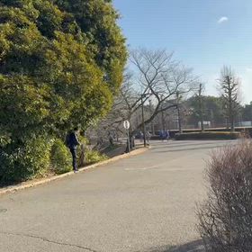 川越練習（1500m）③の画像