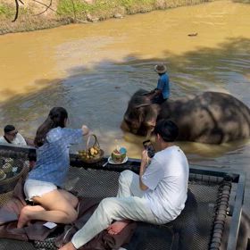 エレファントビレッジ5の画像