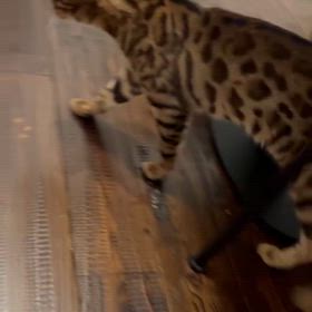 犯人はしゅんだの画像