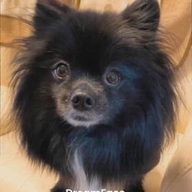 2025年1月10日   アパツの画像