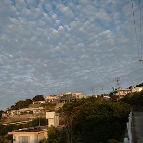 散歩は良いもんだの画像