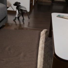 ゲージから解放　エルスとルークの喧嘩の画像