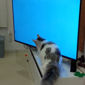 YouTubeの画像