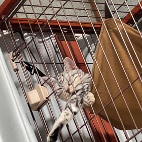 あみかのブログの画像