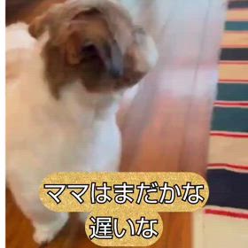 vol.2 社会勉強後の優の気持ち♥の画像