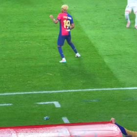 ボールを持てるという観点の画像