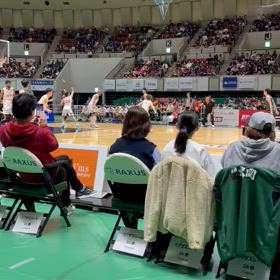 Bリーグ観戦の画像