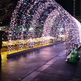 札幌函館仙台遠征奇行番外編③の画像