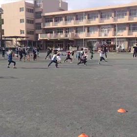 11/16 タオルトレーニング③の画像