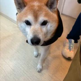 はぁ～(泣)の画像