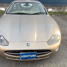 本日…。の画像