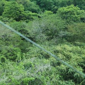 可愛いけど⋯の画像