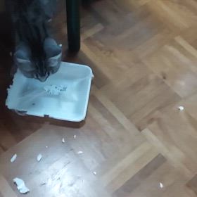 朝起きたら、、┐(-。-;)┌の画像