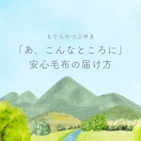 「あ、こんなところに」安心毛布の届け方の画像
