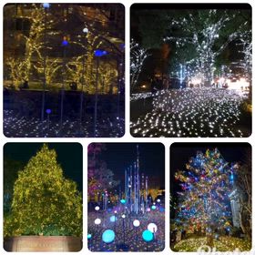 クリスマスイルミネーション　ミッドタウン六本木　の画像