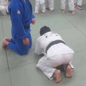 亀の返し方の画像