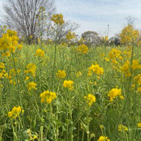 4月13日(日)出勤スタッフの画像