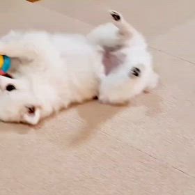 ひとりあそびの画像